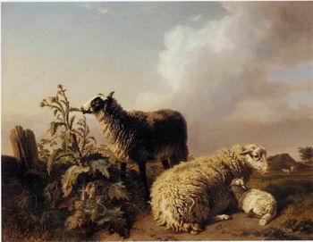 unknow artist Sheep 150